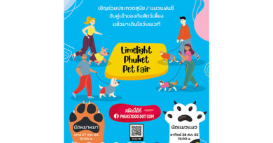 ได้เวลาแจ้งเกิดลูกๆ แล้ว! พามาประชันโฉมในงาน Limelight Phuket Pet Fair กัน