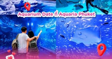 ไม่ว่าจะแพลนเที่ยวภูเก็ตฤดูใหน ก็ใช้ส่วนลดที่ Aquaria Phuket พิพิธภัณฑ์สัตว์น้ำและสวนสัตว์ จูงมือกันชมความมหัศจรรย์แห่งท้องทะเล