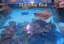 Stingray​ ​Bay
