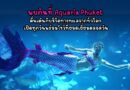 พบกันที่ Aquaria Phuket ตื่นเต้นกับชีวิตทางทะเลจากทั่วโลก เปิดทุกวันพร้อมโชว์ที่ยอดเยี่ยมตลอดวัน