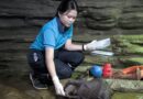 Before and After our otter at River cave zone