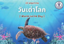 วันเต่าโลก (World Turtle Day)