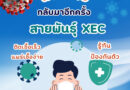 โควิด 19 สายพันธุ์ใหม่ XEC แพร่ระบาดระลอกล่าสุดในไทย ติดเชื้อเร็ว แพร่เชื้อง่าย รู้ทัน ป้องกันตัว