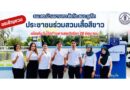 โรงพยาบาลส่งเสริมสุขภาพตำบลบ้านบางเทา สังกัด อบจ.ภูเก็ต