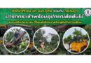 เจ้าหน้าที่กองป้องกันและบรรเทาสาธารณภัย นำรถกระเช้าพร้อมอุปกรณ์ตัดต้นไม้ ร่วมกับเทศบาลตำบลรัษฎา บูรณาการช่วยเหลือประชาชนในพื้นที่ สืบเนื่องจากกรณีฝนตกหนักและลมพัดแรง ส่งผลให้ต้นไม้ขนาดใหญ่ล้มทับบ้านเรือน