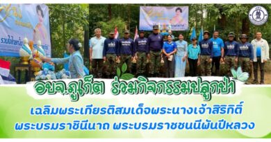 อบจ.ภูเก็ต ร่วมกิจกรรมปลูกป่า เฉลิมพระเกียรติสมเด็จพระนางเจ้าสิริกิติ์ พระบรมราชินีนาถ พระบรมราชชนนีพันปีหลวง