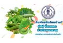 กินผักชนิดไหนบ้าง?  รู้ช่วยให้น้ำตาลลด ห่างไกลจากโรคเบาหวาน