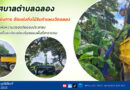 เทศบาลตำบลฉลอง ลงพื้นที่ดำเนินการ ตัดแต่งกิ่งไม้ริมกำแพงวัดฉลอง