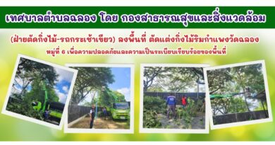ฝ่ายตัดกิ่งไม้-รถกระเช้าเขียว ลงพื้นที่ดำเนินการตัดแต่งกิ่งไม้