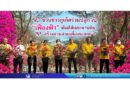 ชวนชาวภูเก็ตร่วมปลูก “เฟื่องฟ้า” เติมสีสันสะพานหิน สร้างสวนสวยเพื่ออนาคต