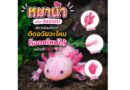 คุณรู้จักหมาน้ำมากแค่ใหน ?