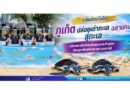 หนึ่งเดียวในไทย ภูเก็ตปล่อยเต่าทะเล–ฉลามกบสู่ทะเล เฉลิมพระเกียรติสมเด็จพระนางเจ้าสุทิดา พัชรสุธาพิมลลักษณ พระบรมราชินี