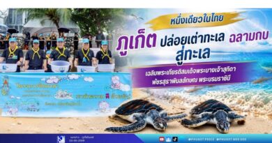 หนึ่งเดียวในไทย ภูเก็ตปล่อยเต่าทะเล–ฉลามกบสู่ทะเล เฉลิมพระเกียรติสมเด็จพระนางเจ้าสุทิดา พัชรสุธาพิมลลักษณ พระบรมราชินี