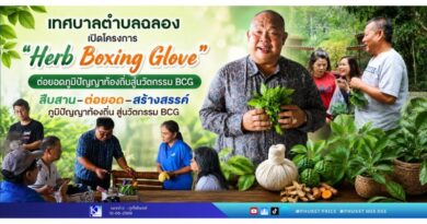 เทศบาลตำบลฉลอง เปิดโครงการ “Herb Boxing Glove” ต่อยอดภูมิปัญญาท้องถิ่นสู่นวัตกรรม BCG สืบสาน–ต่อยอด–สร้างสรรค์ ภูมิปัญญาท้องถิ่น สู่นวัตกรรม BCG