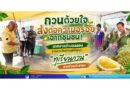 กวนด้วยใจ ส่งต่อความอร่อยจากชุมชน! เทศบาลตำบลฉลองชวนร่วมสืบสานภูมิปัญญา “ทุเรียนกวน” แจกจ่ายประชาชน