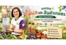พังงาเดินหน้าขยายตลาดสินค้าเกษตร ชูสินค้าเกษตรอัตลักษณ์ จัด “มหกรรมไม้ผลและสินค้าเกษตรคุณภาพ” 24 – 26 สิงหาคม 2569 ณ โรบินสันไลฟ์สไตล์ถลาง จ.ภูเก็ต