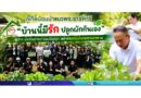 ภูเก็ตน้อมนำแนวพระราชดำริ “บ้านนี้มีรัก ปลูกผักกินเอง” ผู้ว่าฯ นำส่วนราชการลงมือปลูก สร้างความมั่นคงทางอาหาร